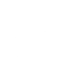 Accessibility Options